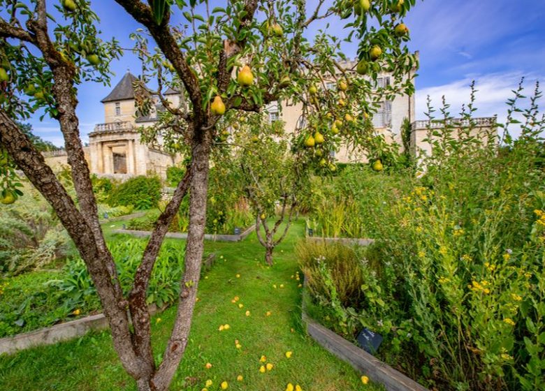 Parc du Château de Vayres