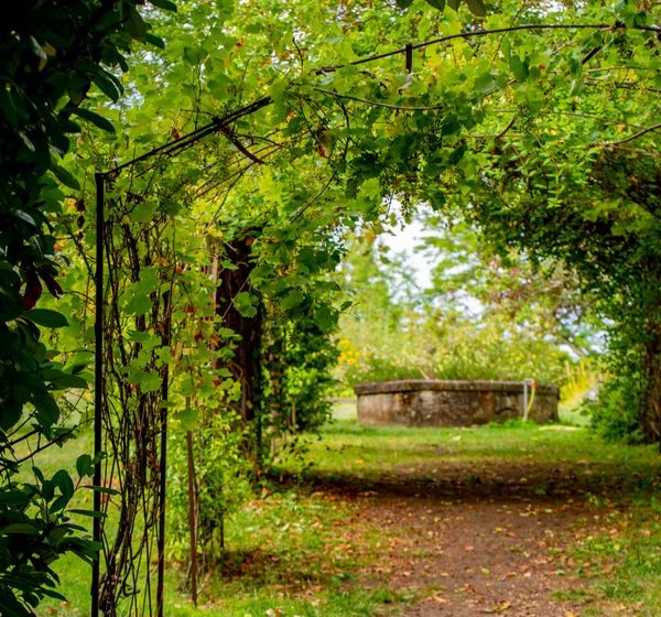 Parc du Château de Vayres