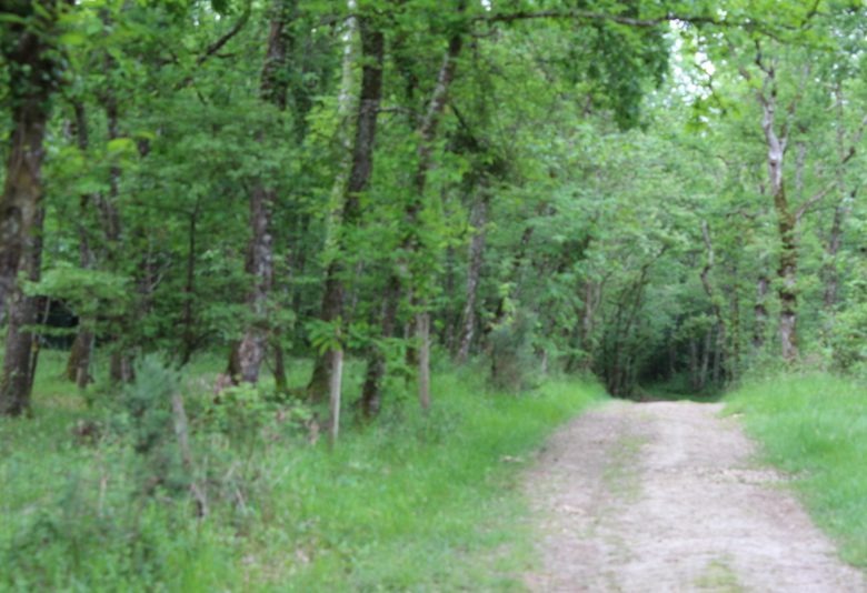 Boucle locale de Cayfas à Listrac-de-Durèze