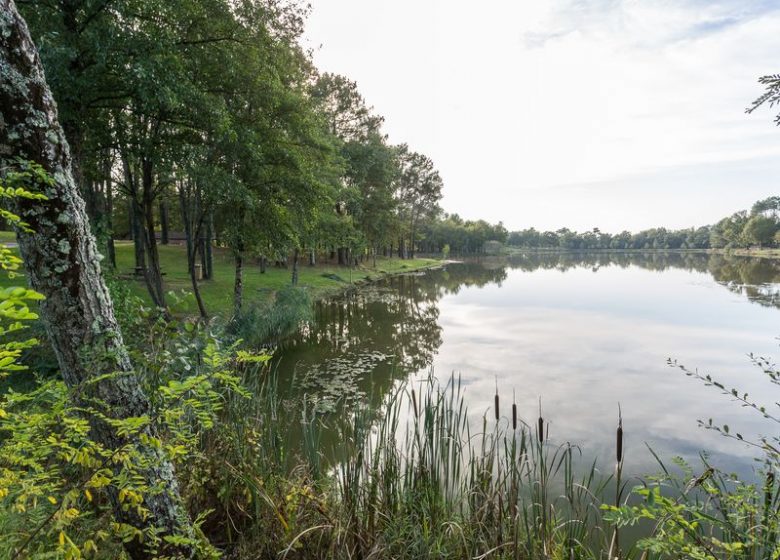 Forêt de la Double