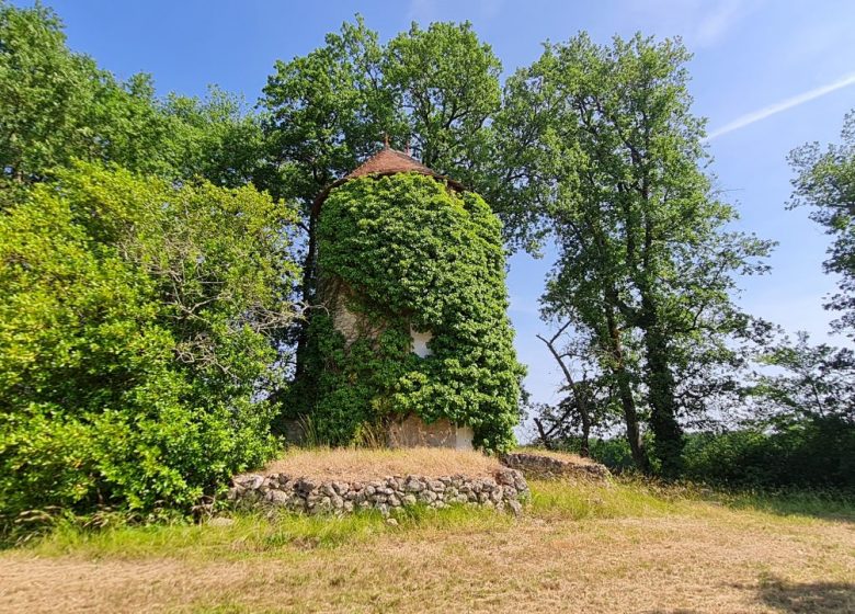 Boucle du Château de Rauzan