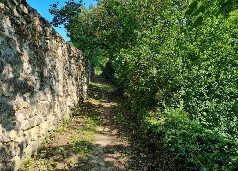 Boucle du Château de Rauzan