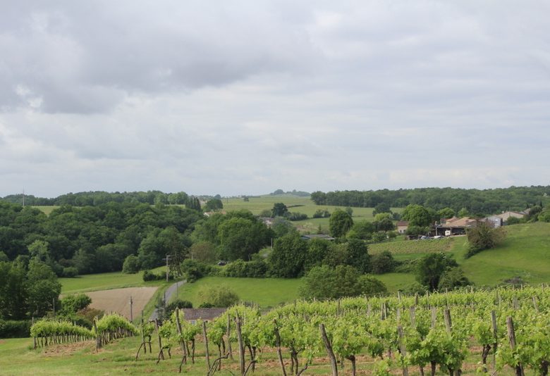 Boucle locale de Cayfas à Listrac-de-Durèze