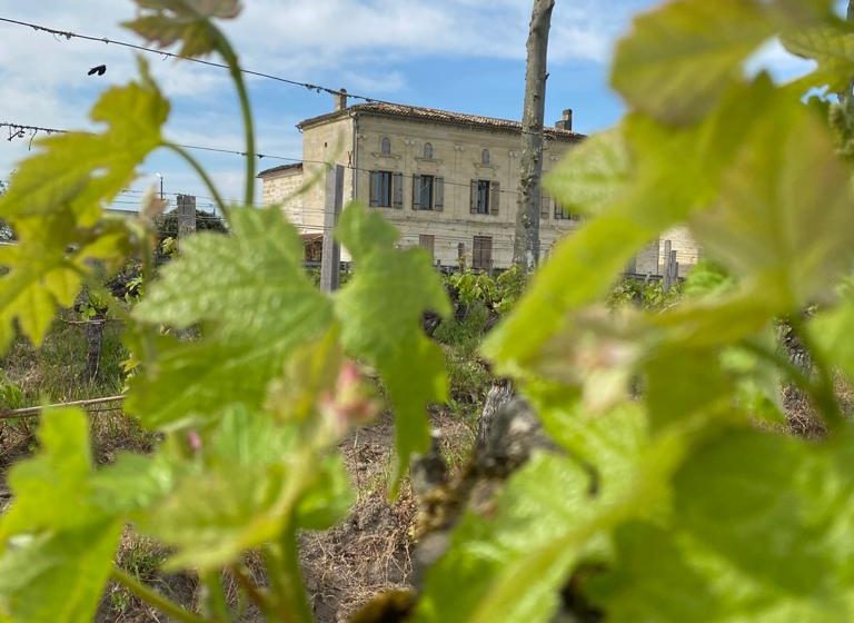 De La Terre Au Verre