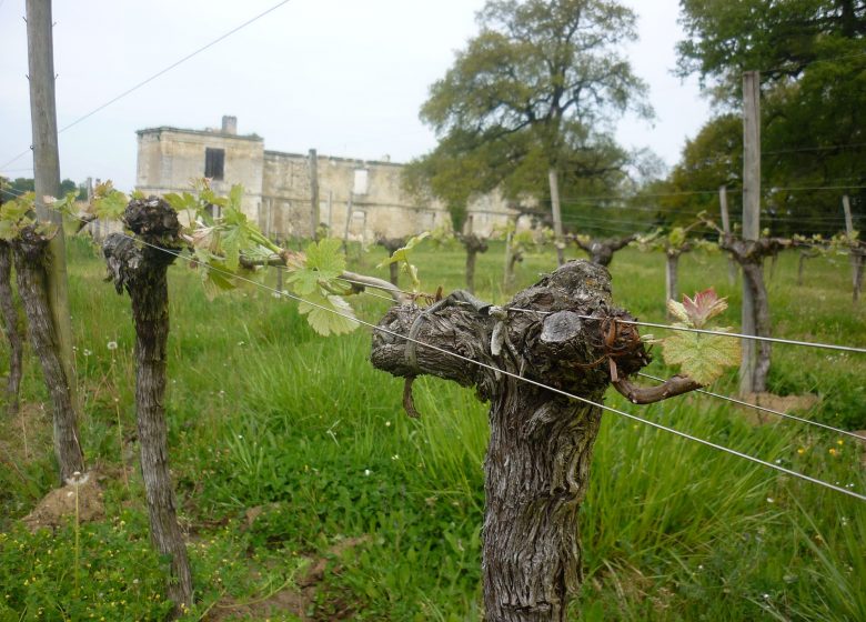 Château Boutinet